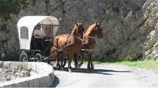 Location de calèche, mariage, anniversaire